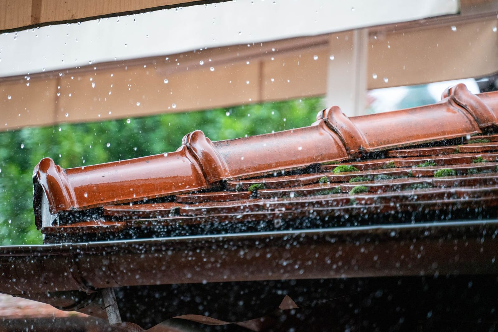 Gutter Guards work in Raleigh, NC